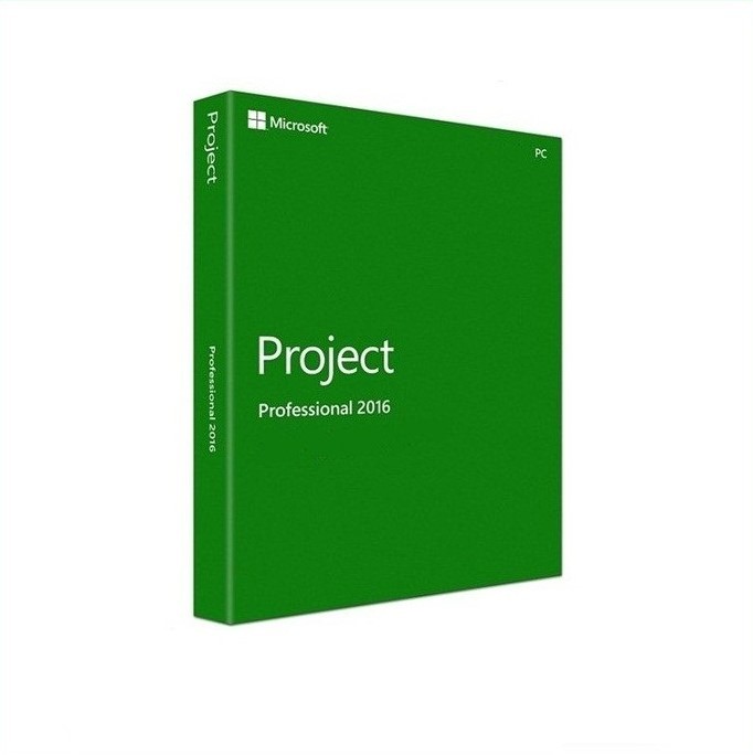 Microsoft Corporation Microsoft Project 2016 Professional