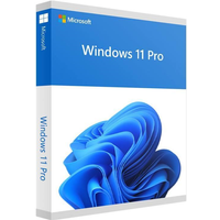 Microsoft Windows 11 Pro – Box-Pack – 1 Lizenz – Flash-Laufwerk – 64-bit – English International (HAV-00163)