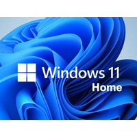 Windows 11 Home 64bit Ausführung, ESD