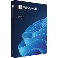 Microsoft MS Windwos 11 Win Pro N FPP 11 64-bit englisch Intl EEA Only USB (Betriebssystem, USB-Stick)