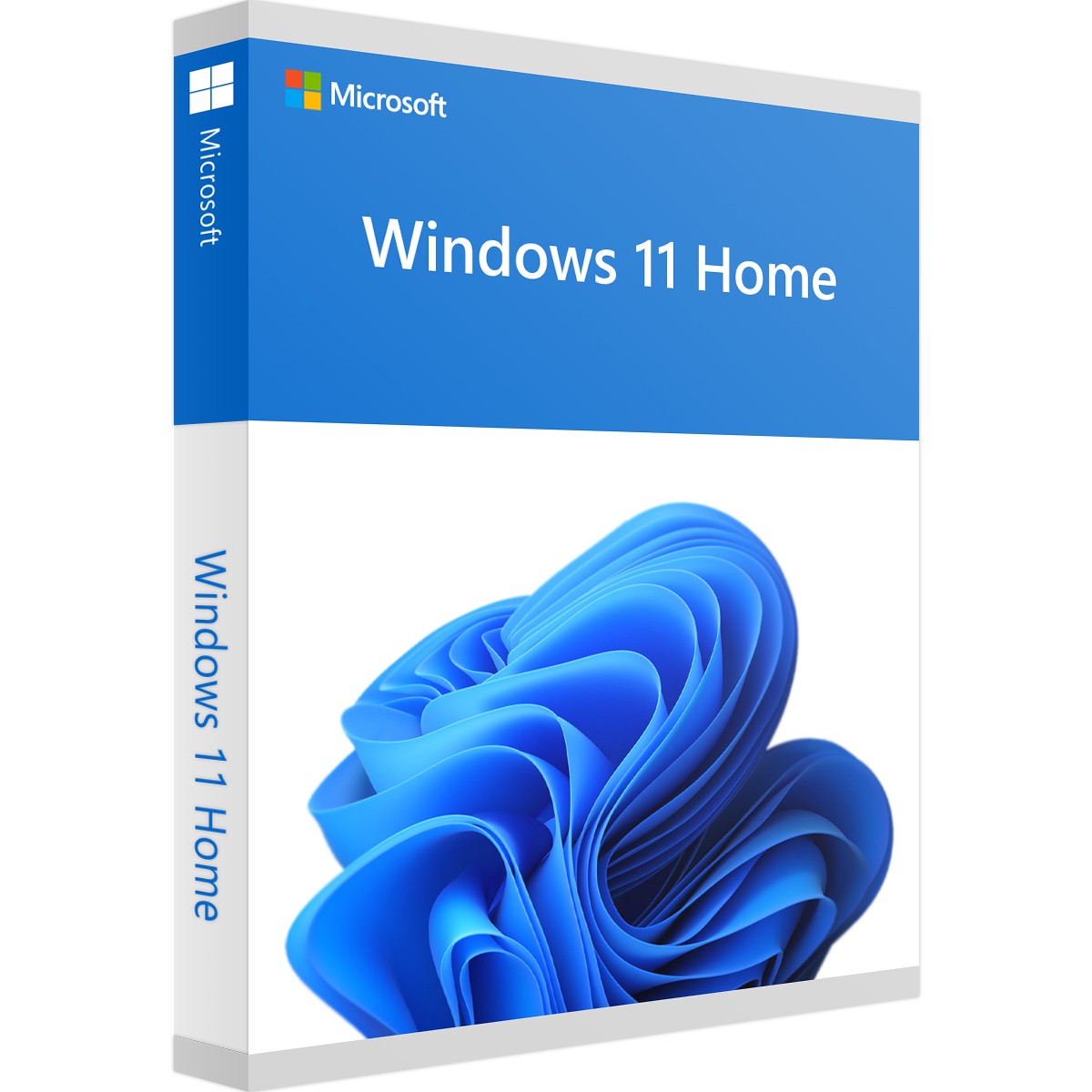 Microsoft Corporation Microsoft Windows 11 Home