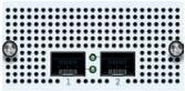 Sophos FleXi Port – Erweiterungsmodul – 10 Gigabit SFP+ x 2 (XGCZTCHF2)