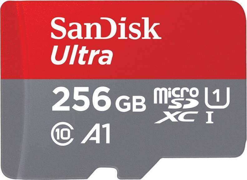 SanDisk microSDHC Ultra 256GB (UHS-1/Cl.10/100MB/s) + Adapter