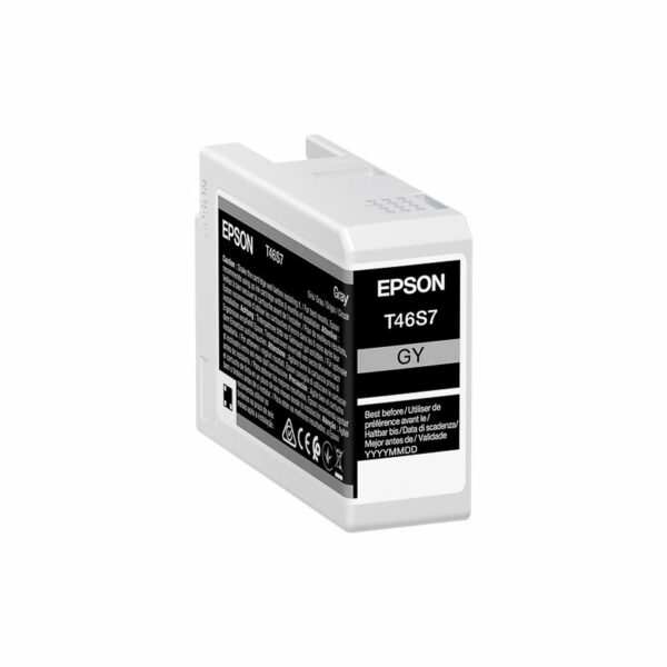 Epson ORIGINAL C13T46S700 EPSON SC P700 TINTE GREY