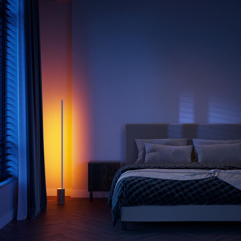 PHILIPS Hue White & Color Ambiance Gradient Signe LED Stehleuchte mit Dimmer, 8719514433526,