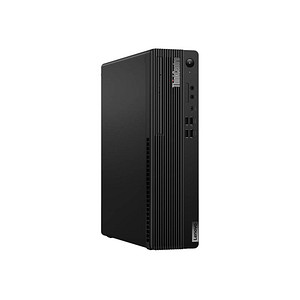 Lenovo ThinkCentre M70s 11T8002SGE PC