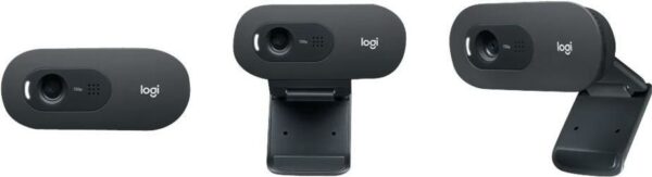 LOGITECH C505e HD Webcam BLK WW (960-001372)