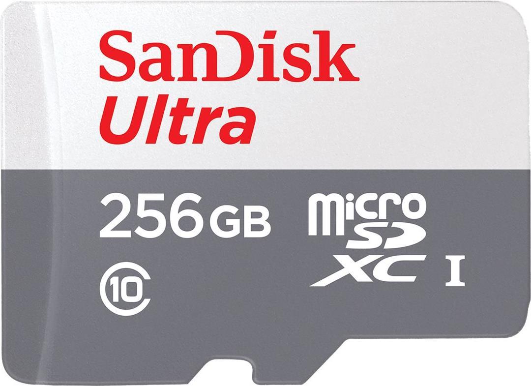 SanDisk Ultra – Flash-Speicherkarte – 256GB – Class 10 – microSDXC UHS-I (SDSQUNR-256G-GN3MN)