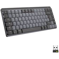 Logitech MX Mechanical Mini Kabellos Tastatur Schweiz, QWERTZ Grau