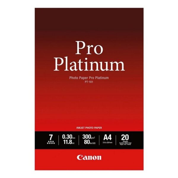 Fotopapier »Pro Platinum PT-101« DIN A4