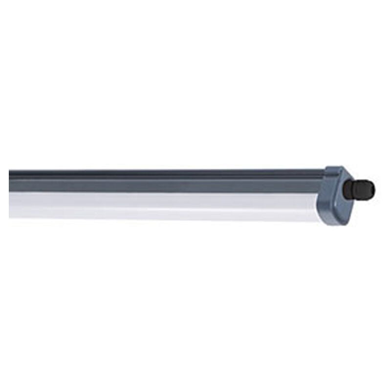 Regleta estanca 54W 5400lm 6500K 150cm 911401861484 Philips