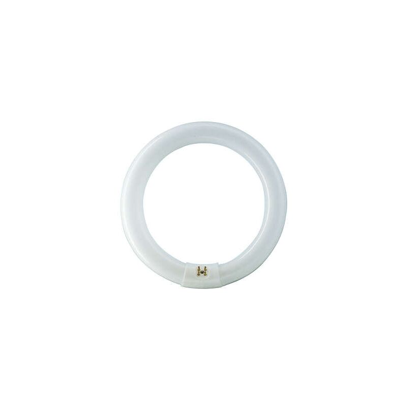 Master tl-e Circular 32W Sockel G10Q 4000K dimmbar – Philips