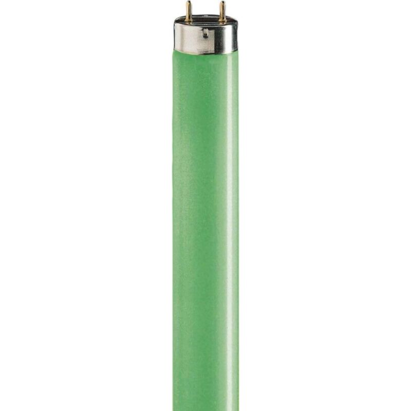 Lighting Leuchtstofflampe tl-d 36W/17 – Philips