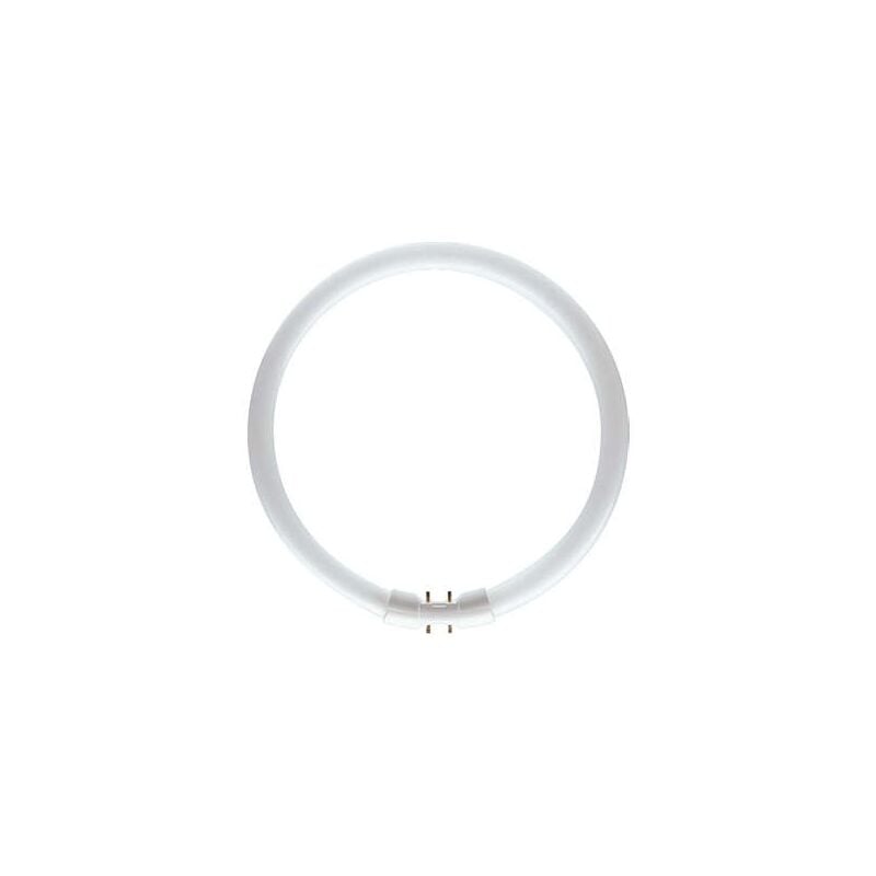 TL5 Circular 40W Sockel 2GX13 3000K dimmbar – Philips