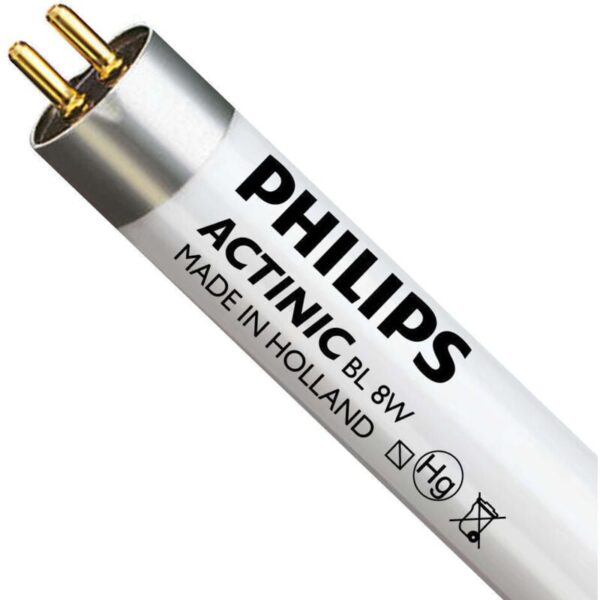 Beleuchtungdirekt ® ist der Großhändler von Leuchtstoffröhren | Bei Beleuchtungdirekt ist der "Philips MASTER Actinic BL T5 Short 8W - Ultraviolett | 29cm(EAN: 8711500260420)" ist besonders preiswert und kann direkt ab Lager geliefert werden! Dieses Produkt Philips hat eine Leistung von 8 Watt ( Watt entspricht der Leistung der Lampe und gibt an