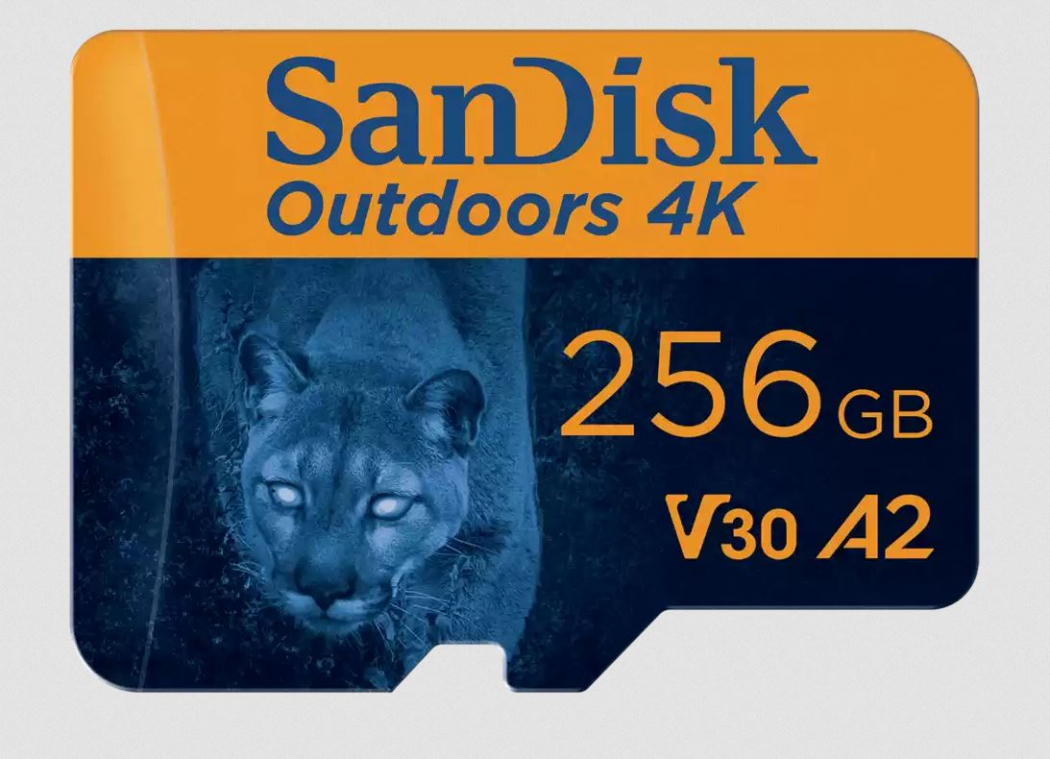 SanDisk Outdoors 4K microSDXC-UHS-I Karte 256GB