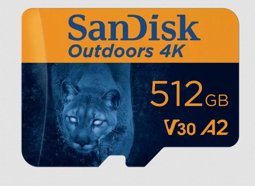 SanDisk Outdoors 4K microSDXC-UHS-I Karte 512GB