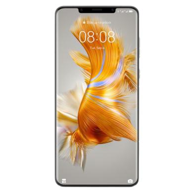 Huawei Mate 50 Pro 256GB silber